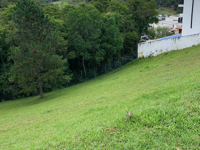 #SH21646 - Área para Venda em Santana de Parnaíba - SP - 3