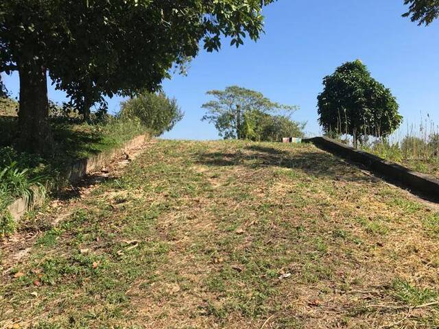 #SH22019 - Área para Venda em Santana de Parnaíba - SP - 3