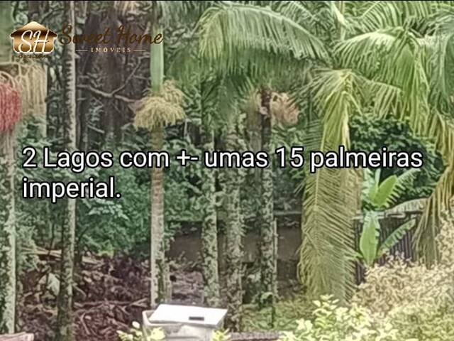 Chácara para Venda em São Roque - 4