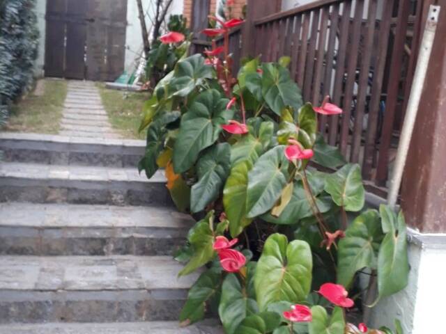 Casa em condomínio para Venda em Santana de Parnaíba - 4
